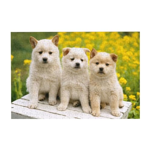 犬柄 おも動物13 300ピース ジグソーパズル 大人向け難しい 破片なし カチっとハマる 誕生日 おしゃれ インテリア ギフトハウス (38×26cm)