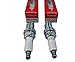 Honda 98079-5587G Pack of 2 Spark Plugs (ZFR5F)