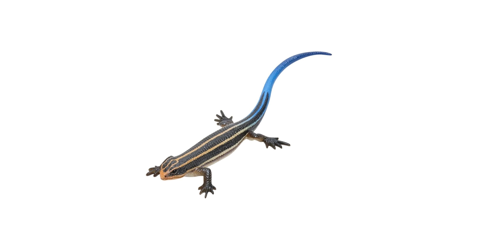 時々トカゲ CM19LZD04-size-100.jpg?v=