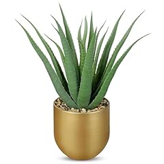 Green Agave Gold Vase