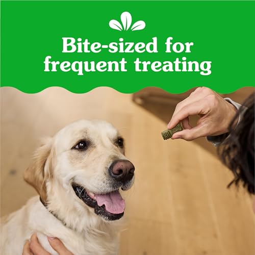 Greenies Dog Anytime Bites Bite-Size Treats for Dogs Mint Flavor 65-Chewy Treats – Ansicht 3