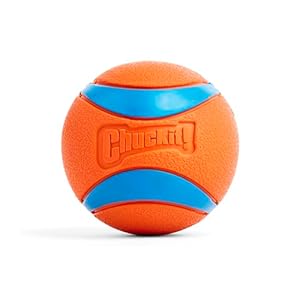 Chuckit ultra ball dog toy size xxl for dogs 100 lbs made from durable rubber super bouncy floats in water 4 inch diameter pack of 1  urban country home decor