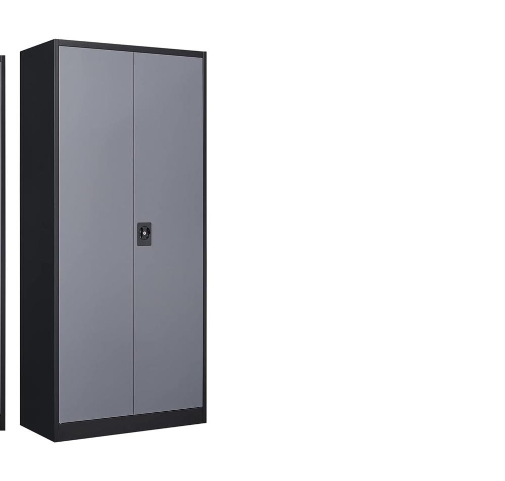 Amazon.com: MIIIKO Metal Storage Cabinet with Locking Doors, Black