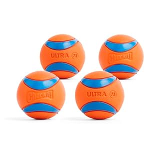 Chuckit Ultra Ball Dog Toy Medium Bouncy Fetch Balls For Dogs 20 60 lbs Made from Durable Rubber Floating Water Pet Toys Size Medium 25 inch Diameter Pack of 4