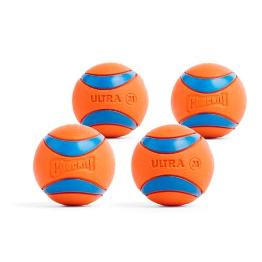 Bola Chuckit! Ultra Ball Dog, média, para cães de 9 a 27 kg