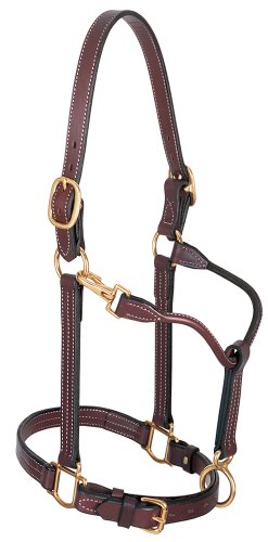 Weaver Leather 1-Inch Large Horse/Stallion Track Halter