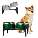 Ceramic Elevated Dog Bowl Set - Dog Feeder Station with Double Bowls for Small and Medium Size Breed - Non-Slip Raised Dish for Food and Water Feeding- 6 Inch - 3.5 Cups / 22 fl oz - Green