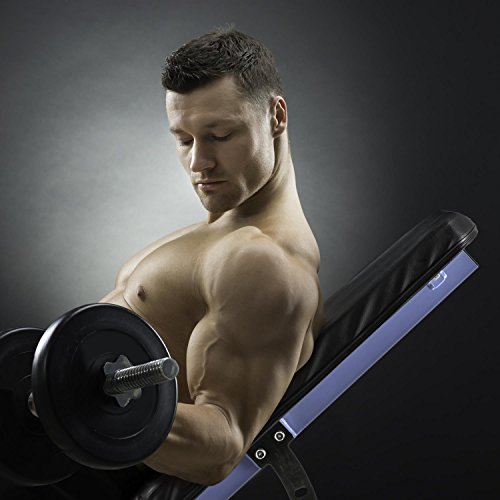 CAPITAL SPORTS Compactar - Panca Regolabile per