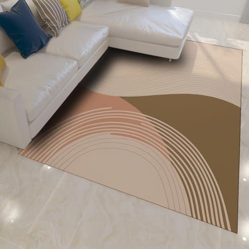 Tapis de salon lavable en machine 90x150cm doux et résistant
