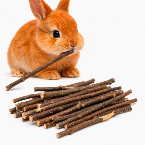 Image of SunGrow Apple Sticks, Wood Chew Treats for Rabbits, Chinchillas, Bunny, Hamster, Squirrel, Guinea Pigs, Small Animals Teeth Grinding 100g (3.5 oz)