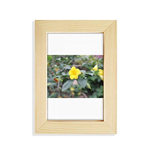 F fXNgbv̖ؐ̃tHgt[摜|pG5 x 7C`