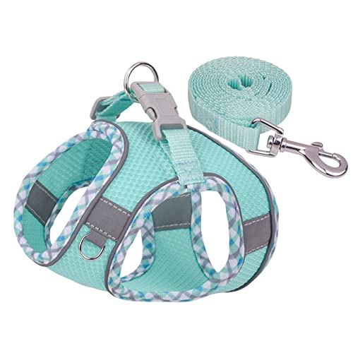 Factorys Hundegeschirr für kleine, mittelgroße und große Hunde, kein Ziehen, Welpengeschirr und Leine-Set, Verstellbar, Mint Green, Turquoise, XXS, Fischgrätmuster
