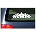 Plumeria Band Flower Lei Sticker - White Decal Hawaii