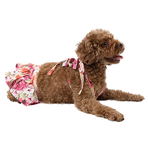 Image of CuteBone Dog Bikini Dress 2 Pack, Stylish Swimsuit Costume for Small Dogs, Comfortable & Adjustable Puppy Bathing Suit, Soft Outfit Pet Apparel for Beach, Pool and Summer Fun 2DB02S