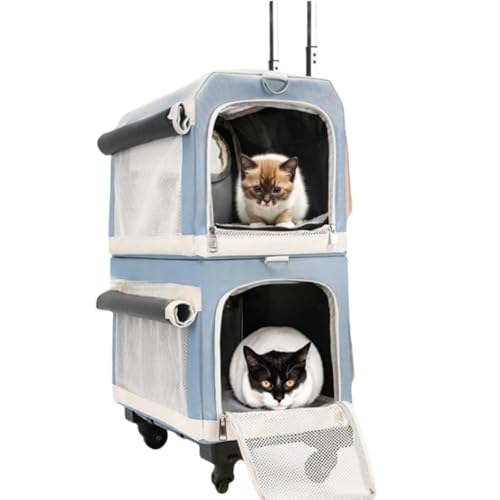 Vifxucy ybgL[obOA360xjo[TzC[tybgP[WAO\ȏ㕔Ɖ̓dwg[ybgxr[J[A|[^u ܂肽ݎL[obOA^ALAɓKĂAOł̎UAsAԁAa@ł̎ÂȂ