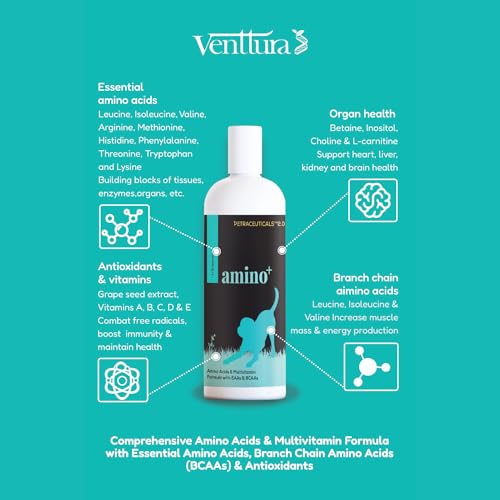 Venttura-Amino-I-Amino-Acids-Supplement-for-Dogs-Increases-Strength-Builds-Muscles-Imporves-Immunity-AntiOxidants-Vitamins-Dog-Supplement-for-All-Life-Stages-150-ml-Suspension