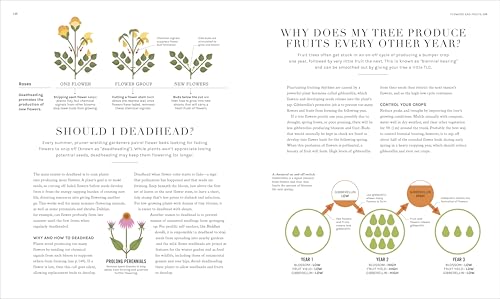 The Science of Gardening: Discover How Your Garden Really Grows (DK Science of) - Image 7