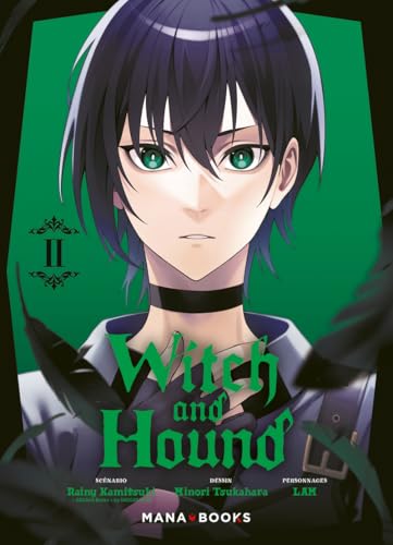 Couverture de Witch and Hound