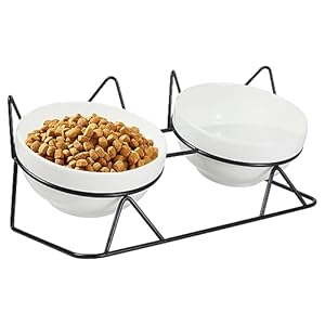 Elevated Tilted Cat Bowls for Indoor Cats，Raised Ceramic Cat Bowl Elevated 15°,Pet Feeding Bowls for Food and Water Anti Vomiting Bowl(Double Ceramics Bowls and Tilt Shelf) Suitable for All Cat Sizes