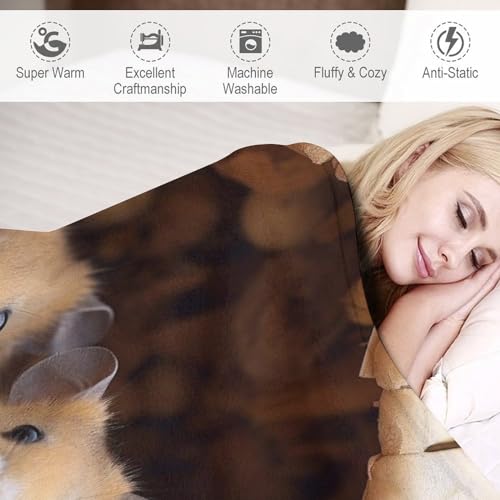 Couverture jeté flannel douce plaid chaud hamster pour sofa - 6