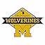 Michigan Wolverines Diamond