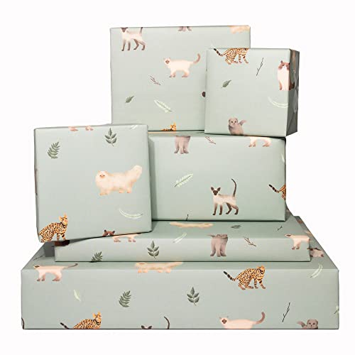 Central 23 - Carta da regalo Gatti in natura - 6