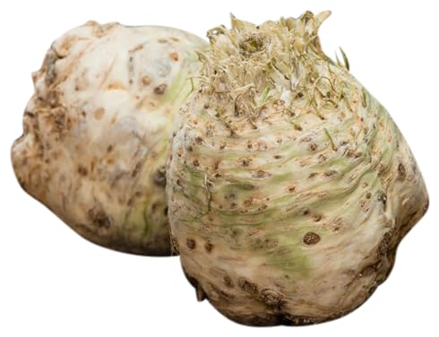 Bio Knollensellerie, 600 - 1100 g