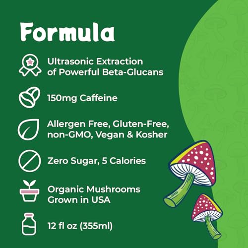 Melting Forest Mushroom Energy Drink, 150mg of Caffeine, Cordyceps & Lion's Mane, Energy & Focus, Cognitive Function & Mental Clarity, Variety Pack (12 Pack)