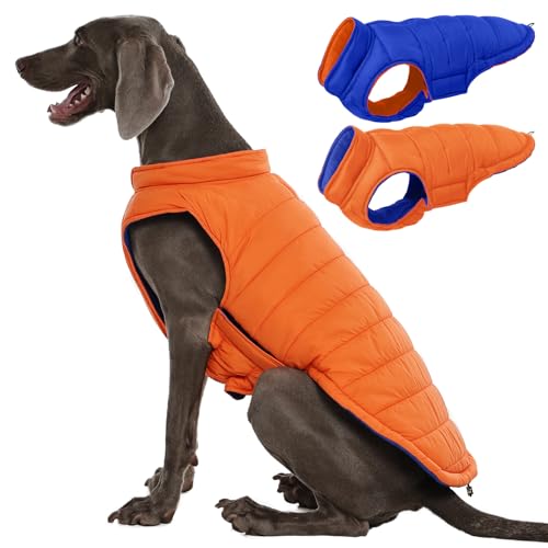QBLEEV Reversible Puffer Dog Vest