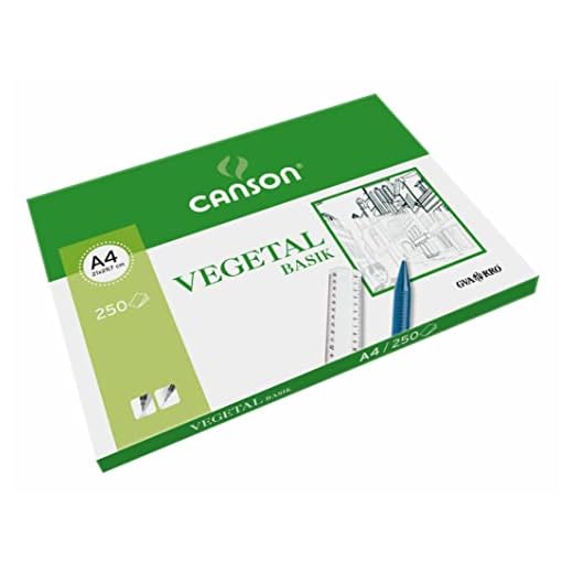 Guarro Canson 200406219 - Papel vegetal, 250 hojas, A4, 90 g