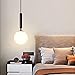 HKLY Modern Kugel Pendelleuchte, E27 Pendelleuchte aus Eisen & Glas Küchenleuchte Esszimmer Hängelampe Höhenverstellbar Loft Kronleuchter Wohnzimmer Schlafzimmer Glaskugel Hängeleuchte (Black)