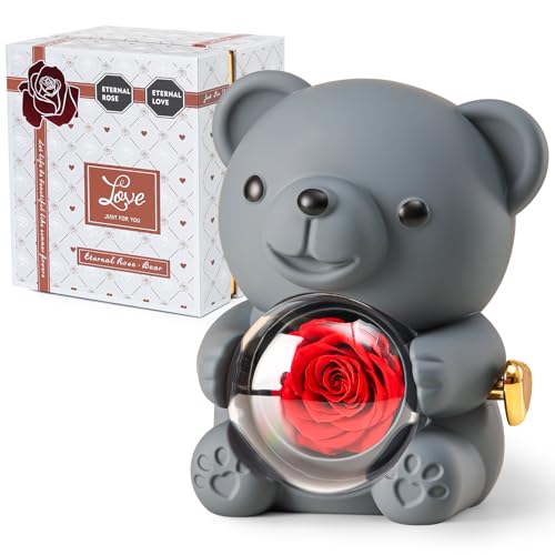 Grey Teddy Bear with Preserved Rose, Real Rose Flower in Bear, Elegant Gift Box, Heart-Shaped Necklace, Unique Gift for Valentine's Day, Mother's Day, Wedding, Anniversary, Bridal Showers