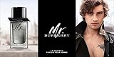 Mr Burberry Edt Vapo 100 ml