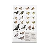 Décoration : très moderne. Vraiment accrocheur. Idéal pour tous les designs graphiques et photographiques modernes. Votre mur/pièce bénéficie d'une légèreté et d'une beauté particulières.