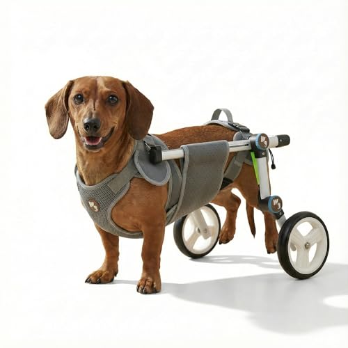 Whisker Bark Stainless Steel Wheelchair