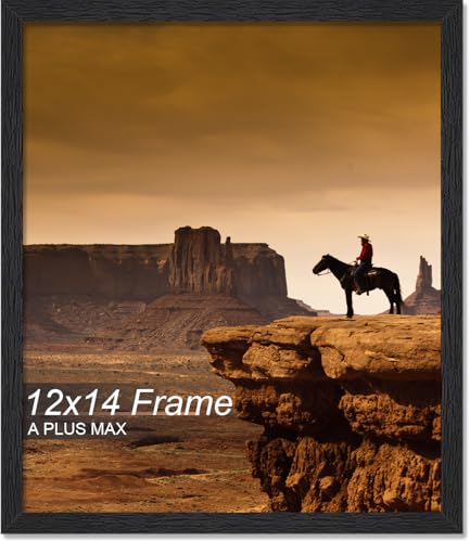 A PLUS MAX 12x14 Picture Frame Black Light Weight Wall Mount