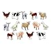Carson Dellosa Farm Animals: Photographic Shape Stickers (168013)