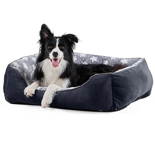 Camas Perros Medianos Bolty Marca FURTIME