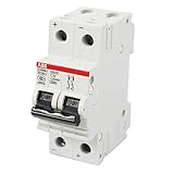 Auslösecharakteristik=C ABB S262DC C32 Leitungsschutzschalter 32A, 2 Pol Sicherungsautomat Type C