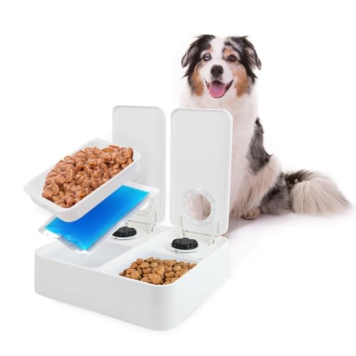 ALL FOR PAWS Automatic Cat & Dog Feeder