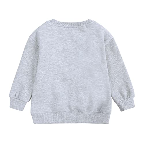Sweatshirt for Boys Girls Trendy Unisex Little Kids Toddler Crewneck Long Sleeve Cozy Fleece Lined Warm Pullover Tops3