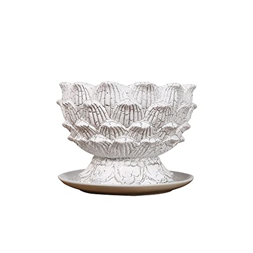 Jardineras Exterior Balcon con Plato Marca Generic