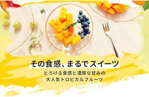 Dole マンゴーチャンク 234g