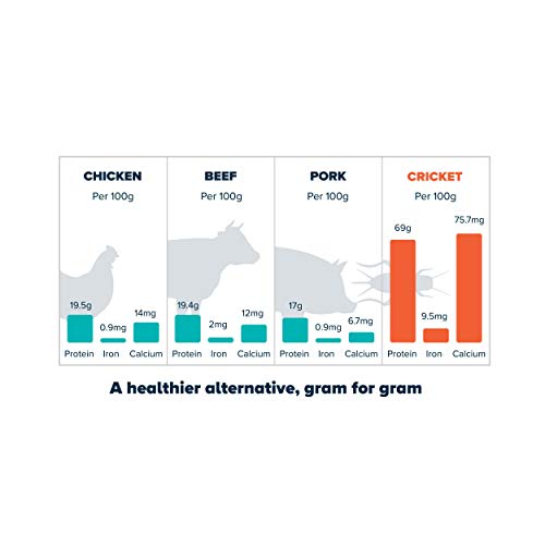 Crunchy Roasted Crickets Salt and Vinegar Insect Snack 15g 24 Pack (360g)