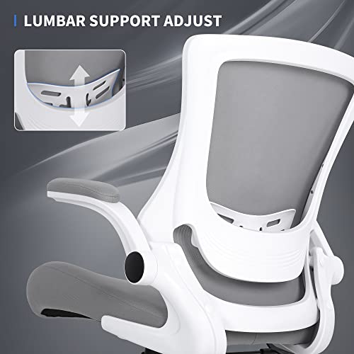 Misolant Desk Chair, Mesh Office Chair, Ergo Chair, Ergonomic Office Chair With Adjustable Lumbar Support And Height, Recline Office Chair Office Desk Chair 360°Swivel Office Chair (Light Gray) #TOP3