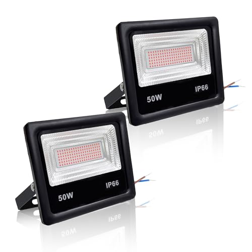2 PCS DC 12V Red LED Flood Light 50W Outdoor Security Floodlight Lamp High Brightness IP65 Outside Waterproof Led Stage Lights for Landscape Garden Yard