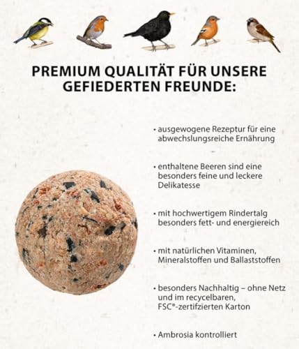 Dehner Natura Premium Meisenknödel ohne Netz, Beerenknödel, ganzjähriges Wildvogelfutter proteinreich / energiereich, im Eimer, 100 Stück je 90 g (9 kg)