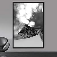 Framed Canvas Wall Art Duotone Cat Animals Black and White Contemporary Dogs Duotone Expressive Grey Living Room Photography - 16x24 inches