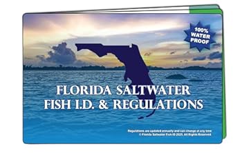 best small boat for ocean fishing beginners guide