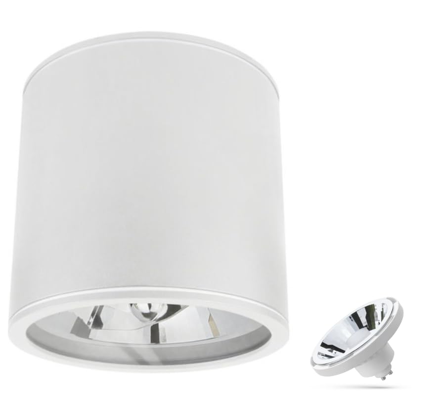 Spectrum Spot de plafond Wi-Fi LED AR111 blanc rond IP65 – avec douille GU10/AR111 – CCT (3000 K-6500 K) – Contrôlable par application